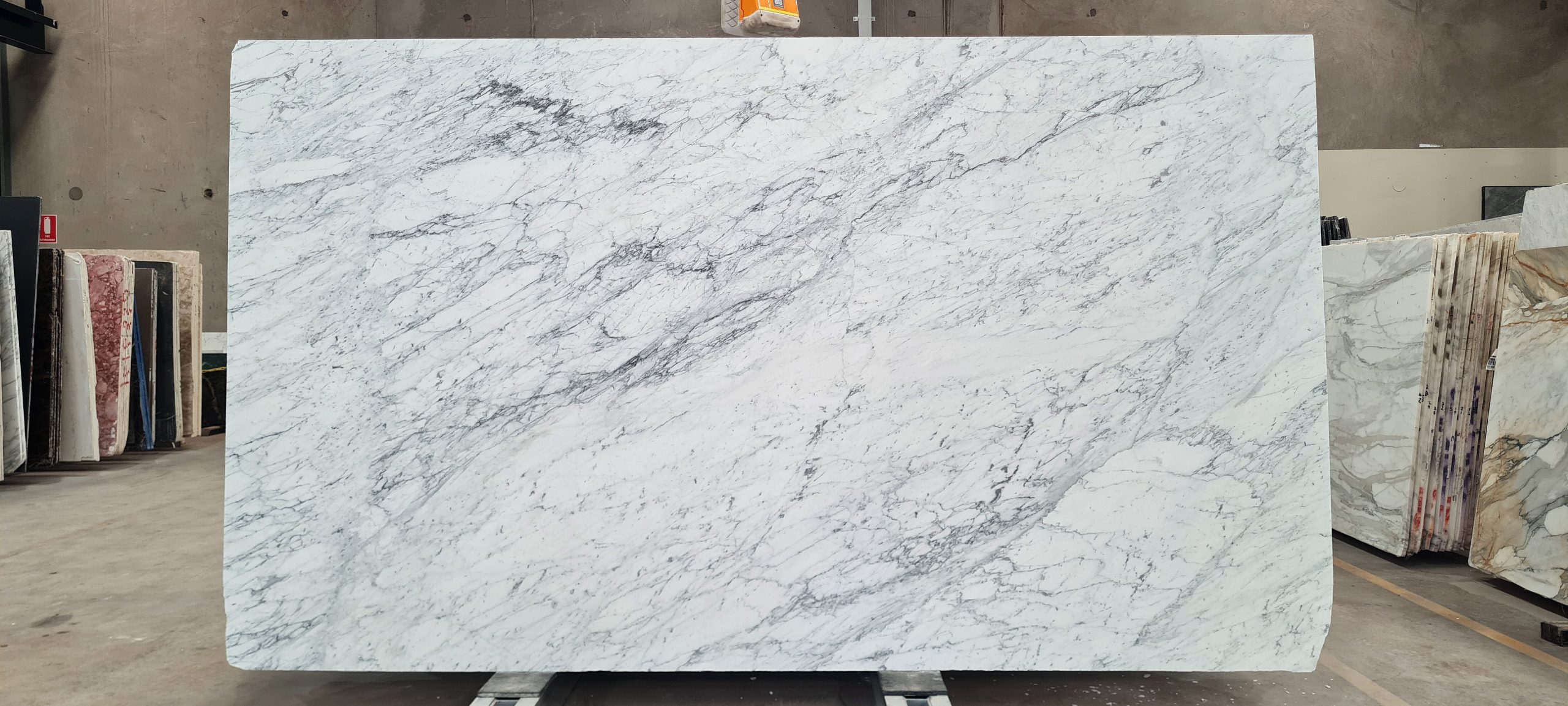 Carrara Bella